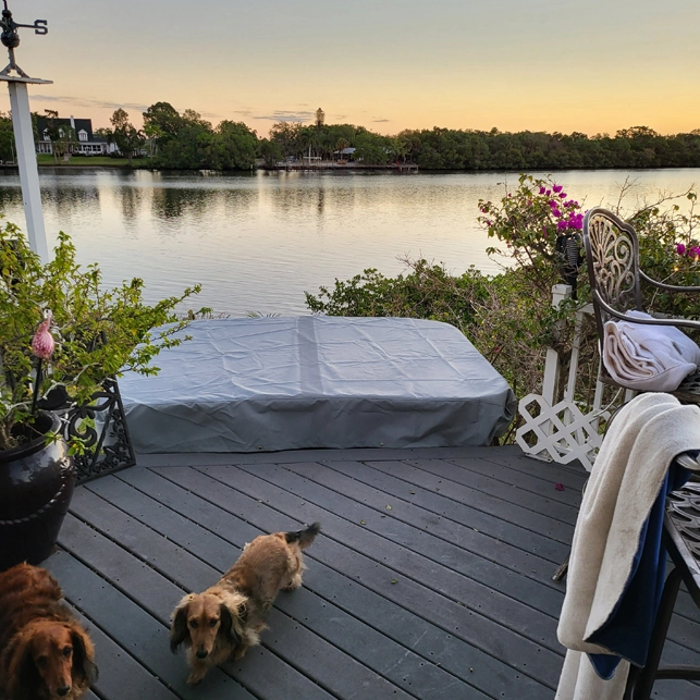 Was sind die human isierten Designs von OEMCOVER Haushalts geräte abdeckungen?